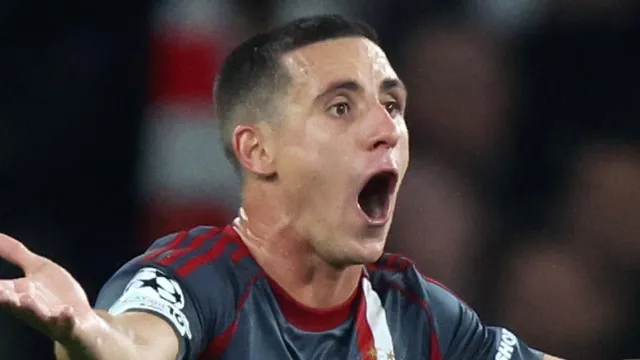 Podence abre livro sobre o Sporting. Nova história envolve… João Palhinha
