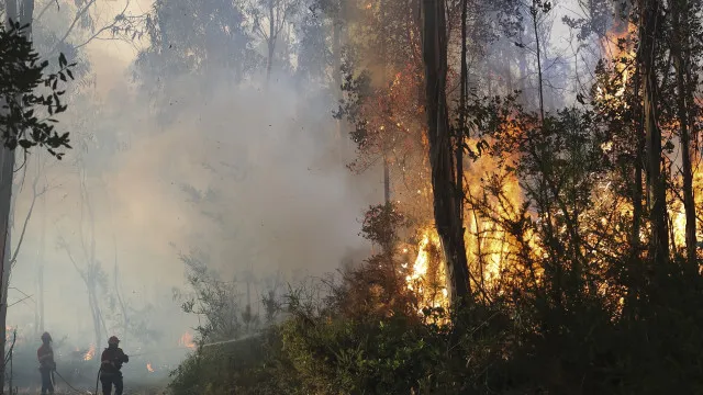 
                    Cerca de 40 concelhos em perigo máximo de incêndio no Centro e Algarve
                