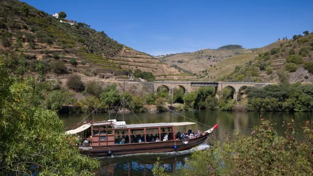 Distinção da UNESCO trouxe projeção, turistas e investimento ao Douro