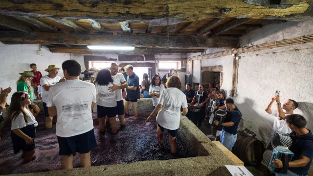 
                    Pisa a pé em lagares centenários do Douro atrai turistas a aldeia de Sabrosa
                