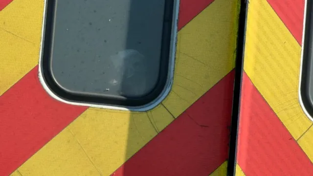 
                    Emu resgatado... em autoestrada na Florida (e andou na via). Há imagens
                