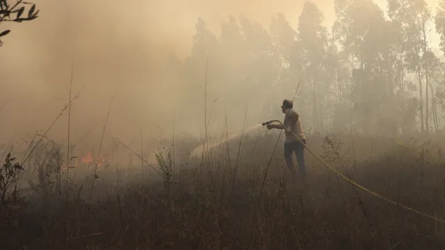 
                    Proteção Civil diz que incêndio em Arcos de Valdevez já está dominado
                