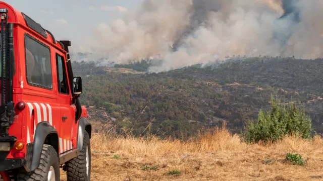 Vinte e quatro concelhos em risco muito elevado de incêndio rural