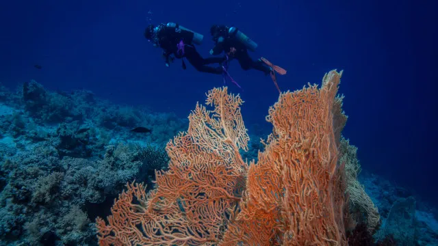 
                    Portuguesa passou 13h horas à deriva no Mar Vermelho e viveu: 