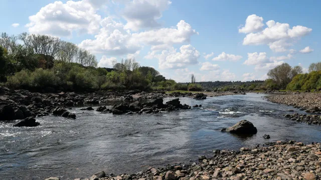 
                    Ambientalistas alertam que estado dos rios e aquíferos está a piorar
                