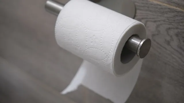 
                    Porque é que o papel higiénico tem desenhos? Há uma razão
                