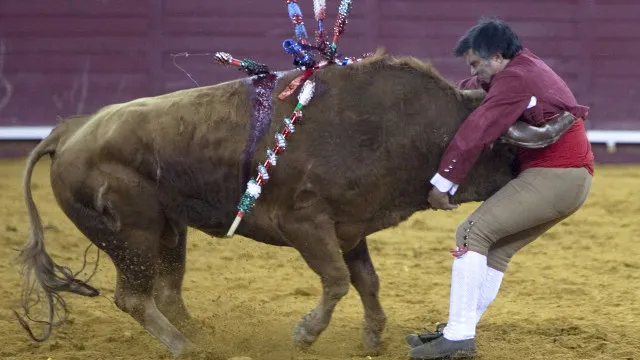
                    Património Cultural? Aberta consulta pública para inscrever Tauromaquia 
                