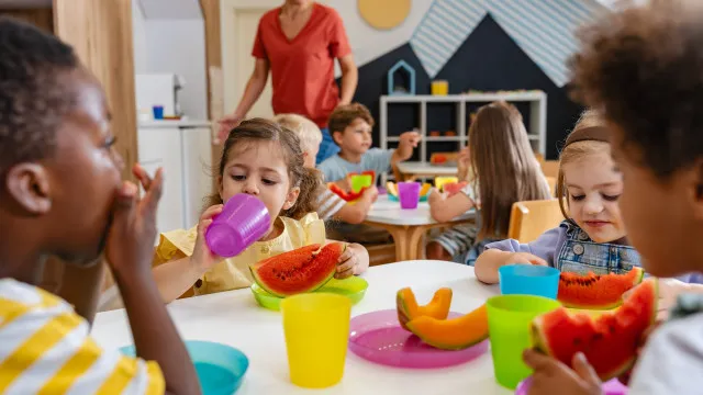 
                    Comer na creche. Do leite materno às texturas, eis as orientações da DGS
                