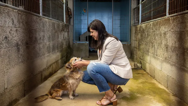 PAN quer criar registo nacional de agressores de animais