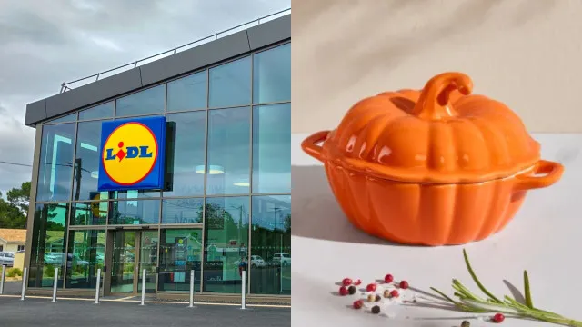 
                    Lidl. A panela em forma de abóbora está a esgotar (custa só 5,99€)
                
