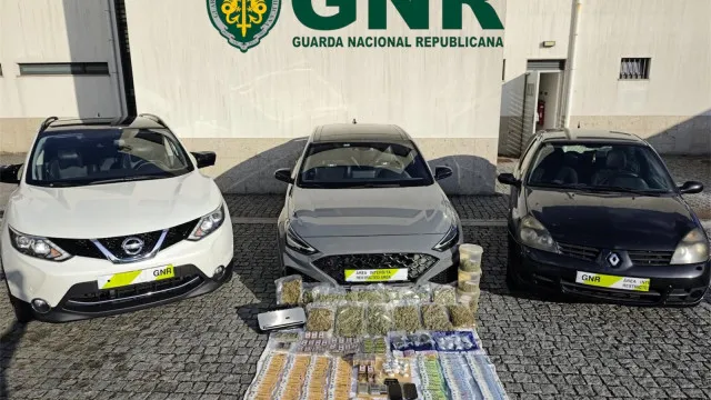 
                    Sete detidos por tráfico de droga em Marco de Canaveses, Penafiel e Gaia
                
