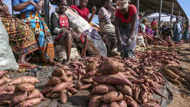 Número de pessoas em insegurança alimentar reduz em Moçambique