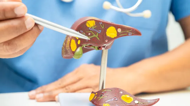 
                    Hábitos diários que protegem saúde do fígado, segundo hepatologista
                