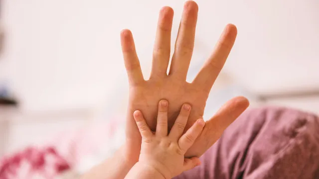 
                    Saúde Mental Perinatal: Nova área multidisciplinar do conhecimento?
                