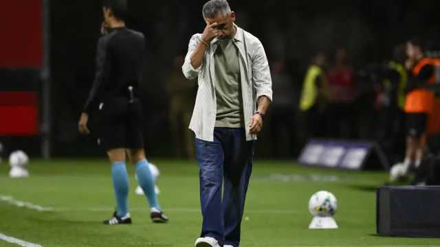 
                    Rui Borges: 