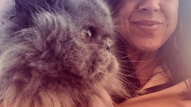 Gato Mikas terá sofrido AVC e Sousa Real falta a debate na AR: "Família"