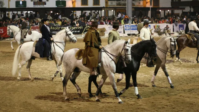 
                    Feira da Golegã é reconhecida como Património Cultural Imaterial
                