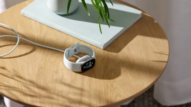 Google desvendou nova pulseira de fitness. Chama-se Fitbit Edge