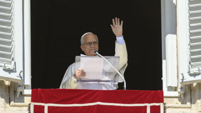 
                    Papa 