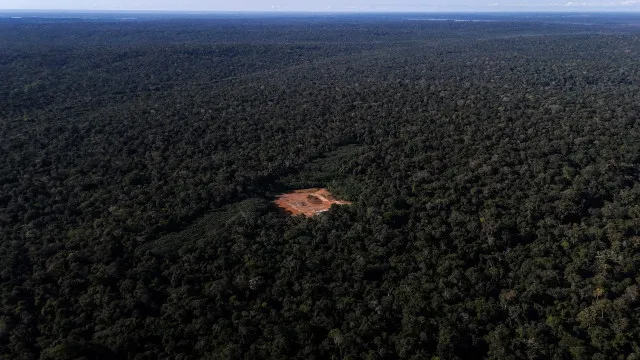 
                    Desmatamento na Amazónia e Cerrado tem menor taxa da série histórica
                