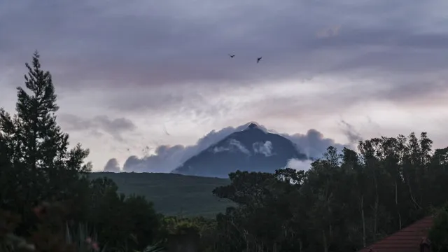 
                    Governo dos Açores quer adquirir 400 terminais GPS para montanha do Pico
                