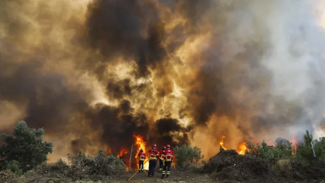 
                    Vouzela em risco máximo de incêndio, 50 concelhos em alerta
                