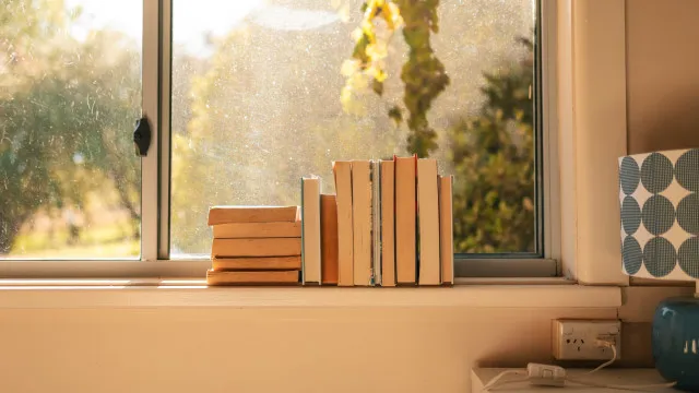 
                    Nunca guarde estas 7 coisas perto de uma janela
                