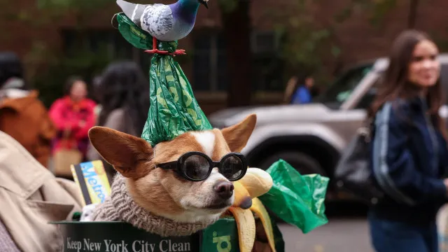 Nova Iorque volta a encher-se de cães (e não só) mascarados. As imagens