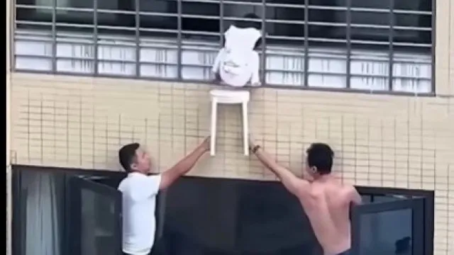 Enclosure