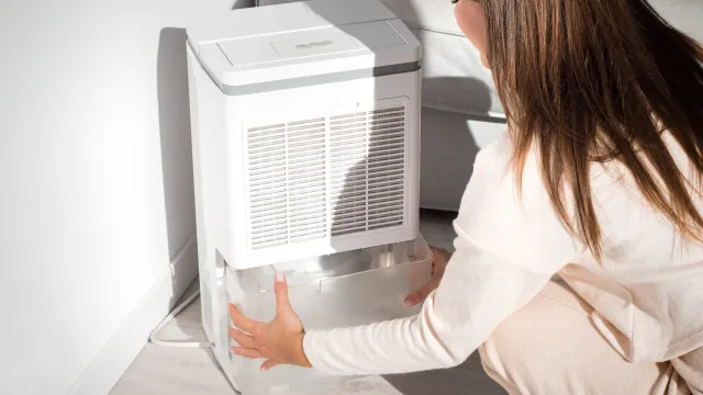 
                    Vai comprar um desumidificador? Eis os grandes erros que deve evitar
                
