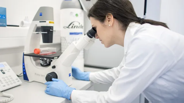 Projetos de investigação do cancro ficam sem fundos. PSD pede respostas