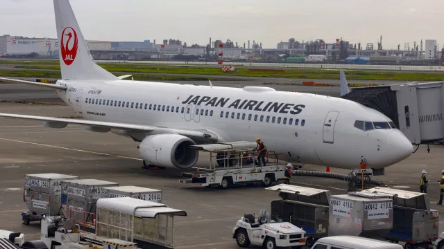 Cobra encontrada em avião obriga a cancelamento de voo no Japão