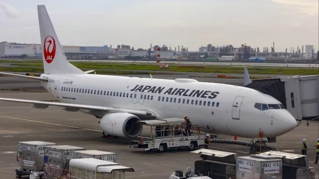 Cobra encontrada em avião obriga a cancelamento de voo no Japão