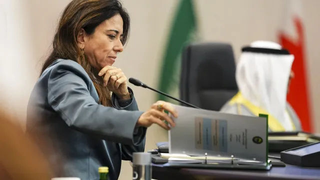 
                    Emirados Árabes Unidos propõem candidata a secretária-geral da ONU
                