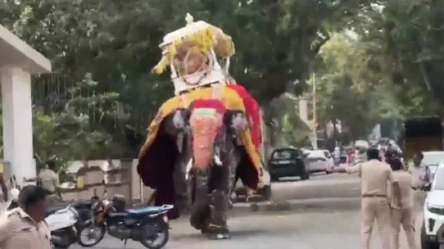 
                    Elefante descontrola-se durante procissão na Índia e causa pânico
                