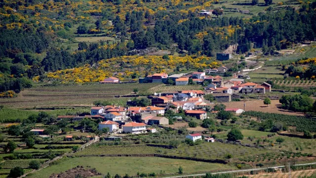 
                    Castelo e Vila Amuralhada de Carrazeda vão ser requalificados
                