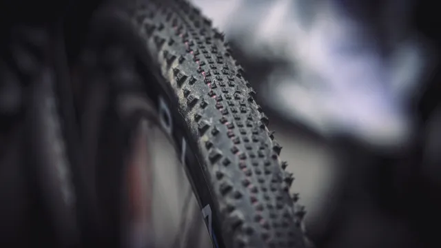 Alentejo recebe prova de acesso ao Mundial de gravel de 2027