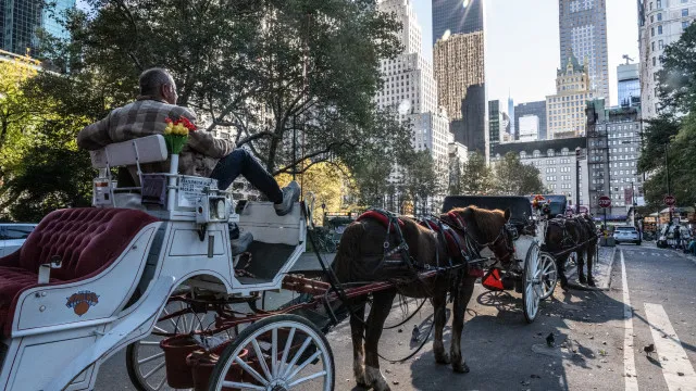 
                    Nova Iorque vai proibir carruagens de cavalos no Central Park
                