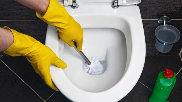 
                    Sanita com 'anel' de sujidade? Razões mais comuns e como evitar
                