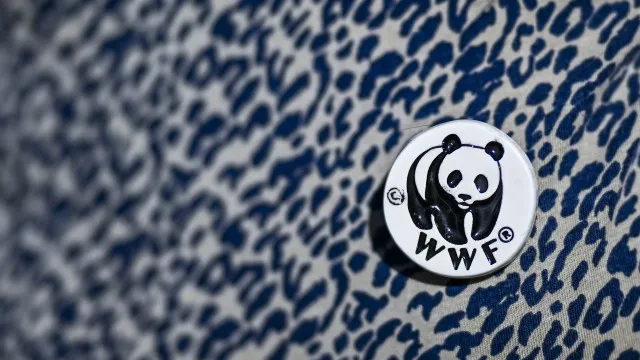 Organização WWF lança segunda fase do projeto "We Love Solutions"
