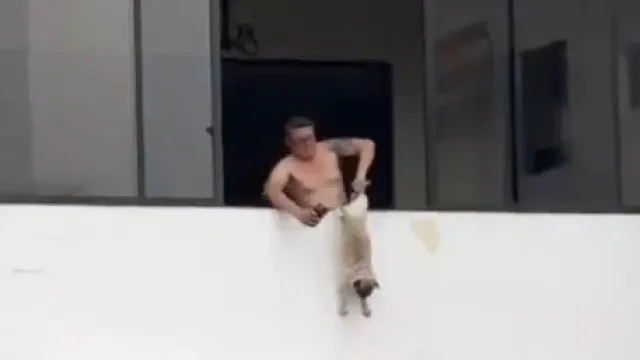 
                    Ex-jogador de futebol detido após ser filmado a pendurar cão à janela
                