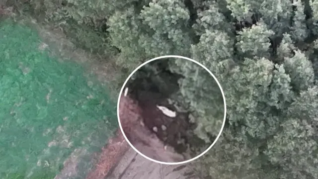 
                    Idoso desaparecido em Aveiro localizado por drone da GNR
                