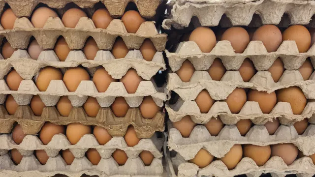 Galinhas vivas entre mortas? "Não refletem as práticas da nossa empresa"