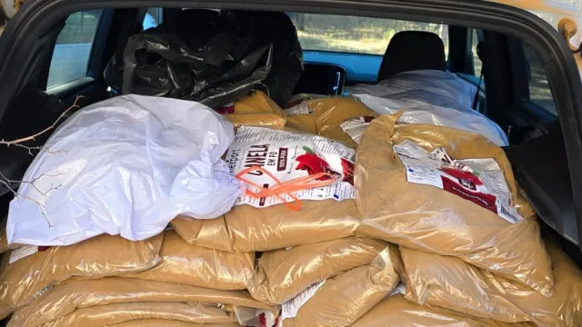 Preventiva para 6 suspeitos de tráfico de droga (que chegava em canela)