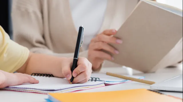Pode deduzir as despesas com explicações no IRS? Fisco explica