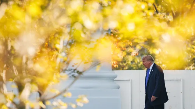 
                    Trump sobre eleições no Brasil: 