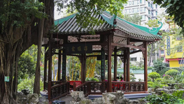 Macau plantou 19 mil árvores, mas ambientalista não vê melhorias