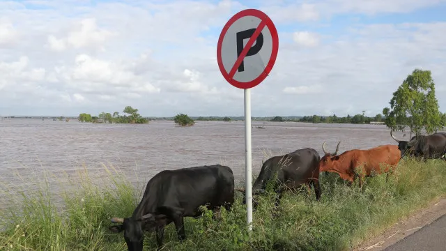 El Niño pode agravar fome de 1,84 milhões de moçambicanos, alerta CARE