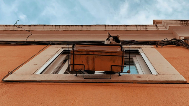 What should you do before buying a house?
