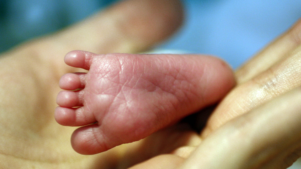 Teste do Pezinho rastreou pela 1.ª vez menos de 80 mil bebés em Portugal